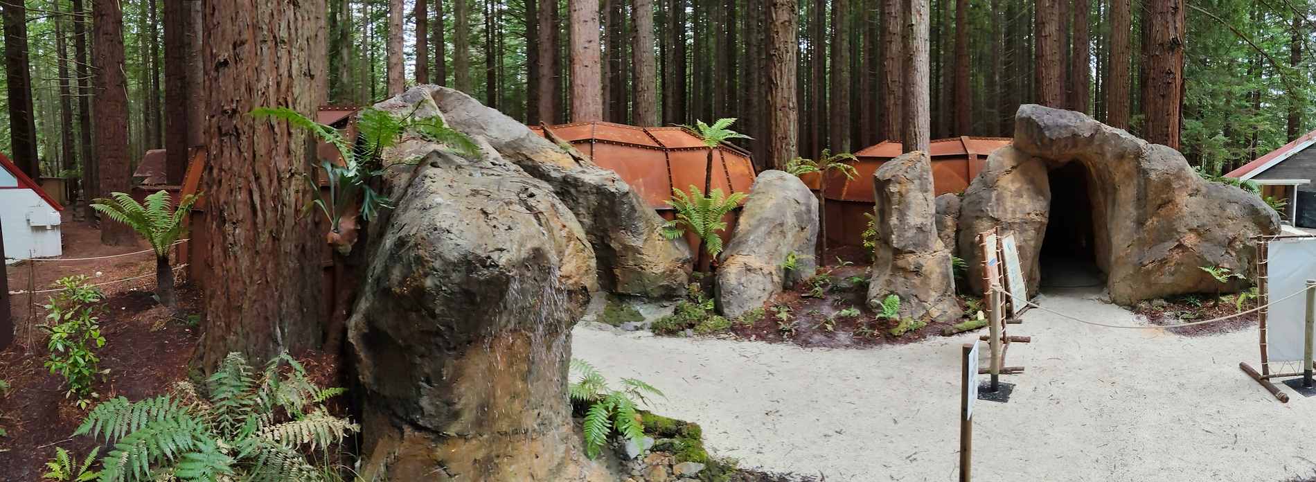 Engineered visitor cave structure set within a Rotorua forest